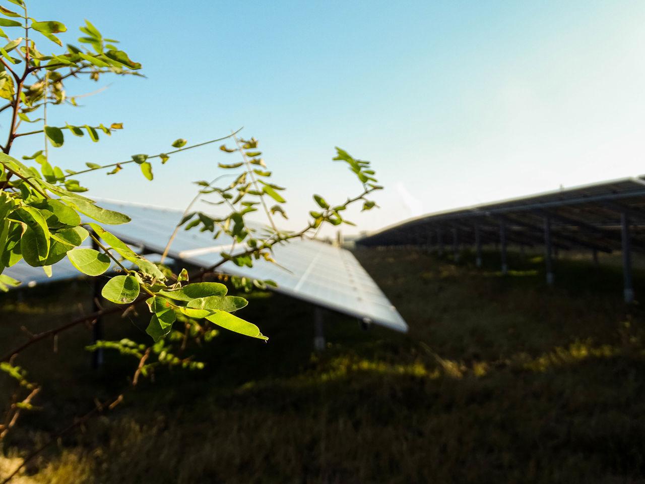 Solar panel